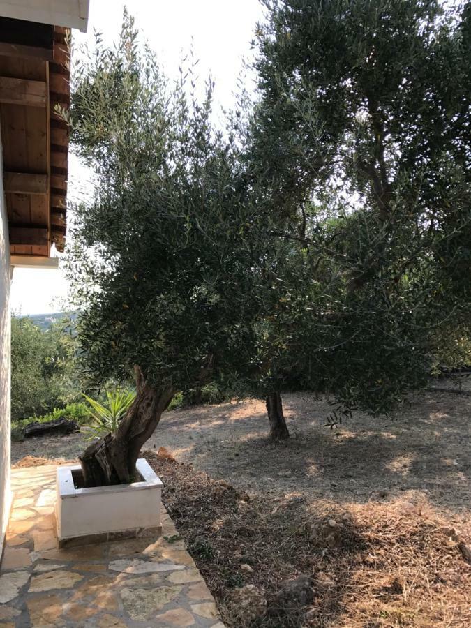 Ferienhaus Olive Garden Kyparissia Exterior foto